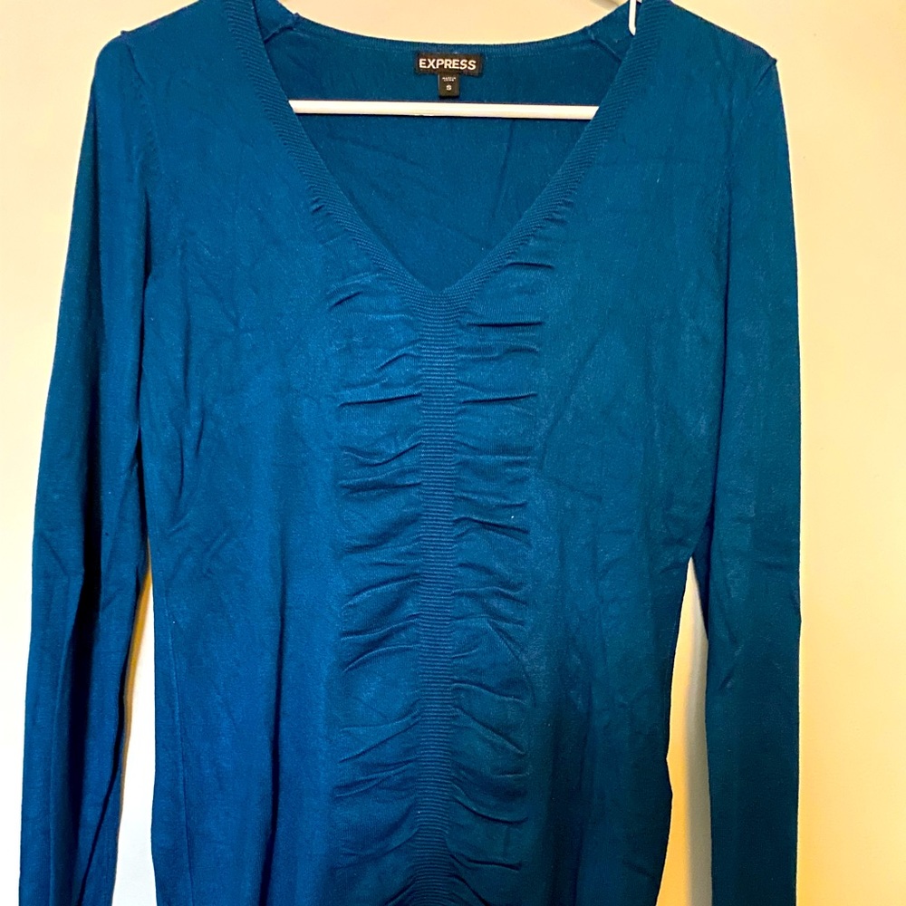 Express v neck sweater